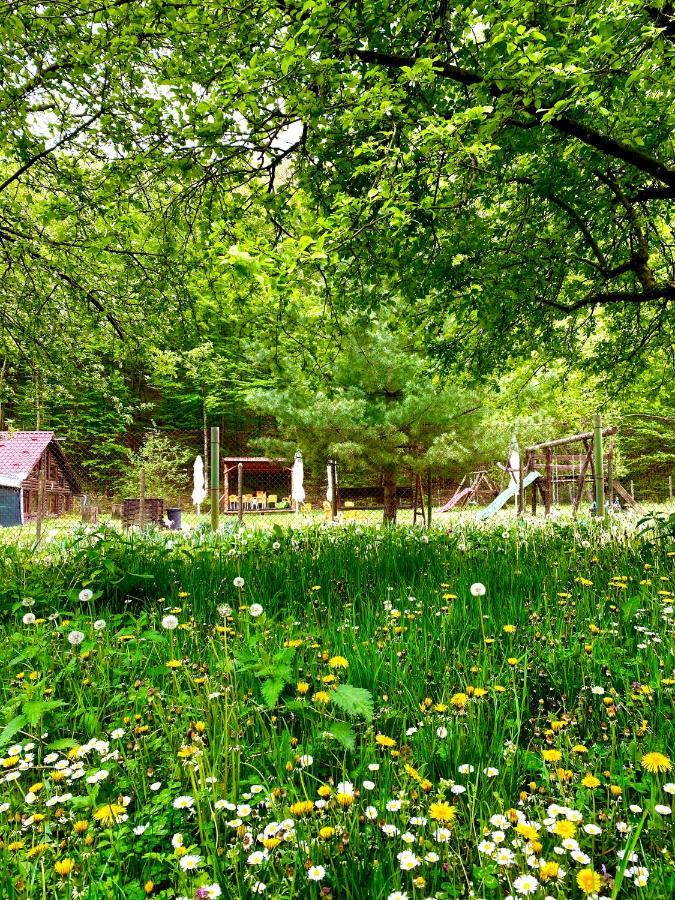 House In The Woods Bed & Breakfast Resita Eksteriør bilde