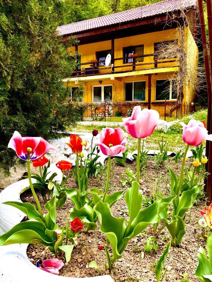 House In The Woods Bed & Breakfast Resita Eksteriør bilde