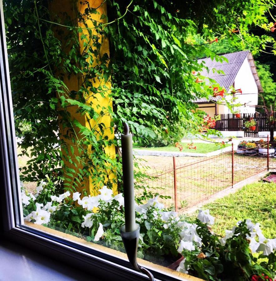 House In The Woods Bed & Breakfast Resita Eksteriør bilde