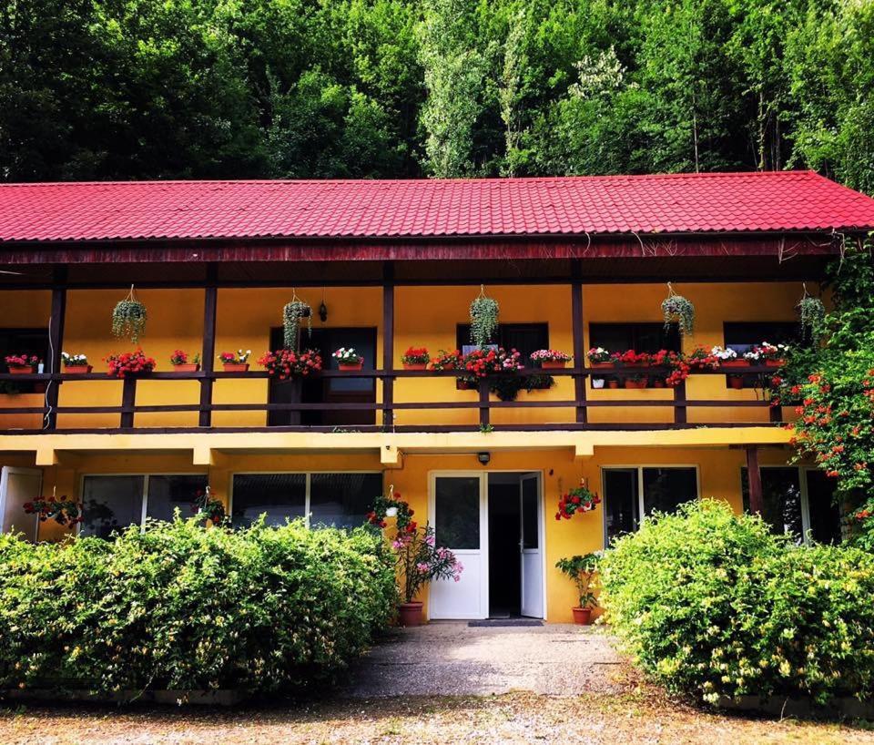 House In The Woods Bed & Breakfast Resita Eksteriør bilde